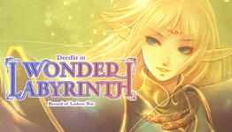 Record of Lodoss War-Deedlit in Wonder Labyrinth- (2020)