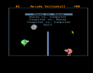 Arcade Volleyball (1988)