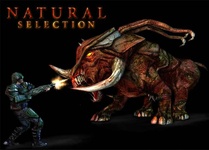 Natural Selection (2002)