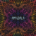Amygdala (2023)