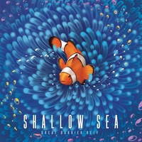 Shallow Sea (2025)