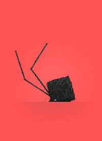 Daddy Long Legs