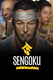 Sengoku Dynasty (2023)