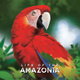 Amazónia (2023)