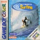 Ultimate Surfing (2001)