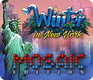 Winter in New York Mosaic Edition (2020)
